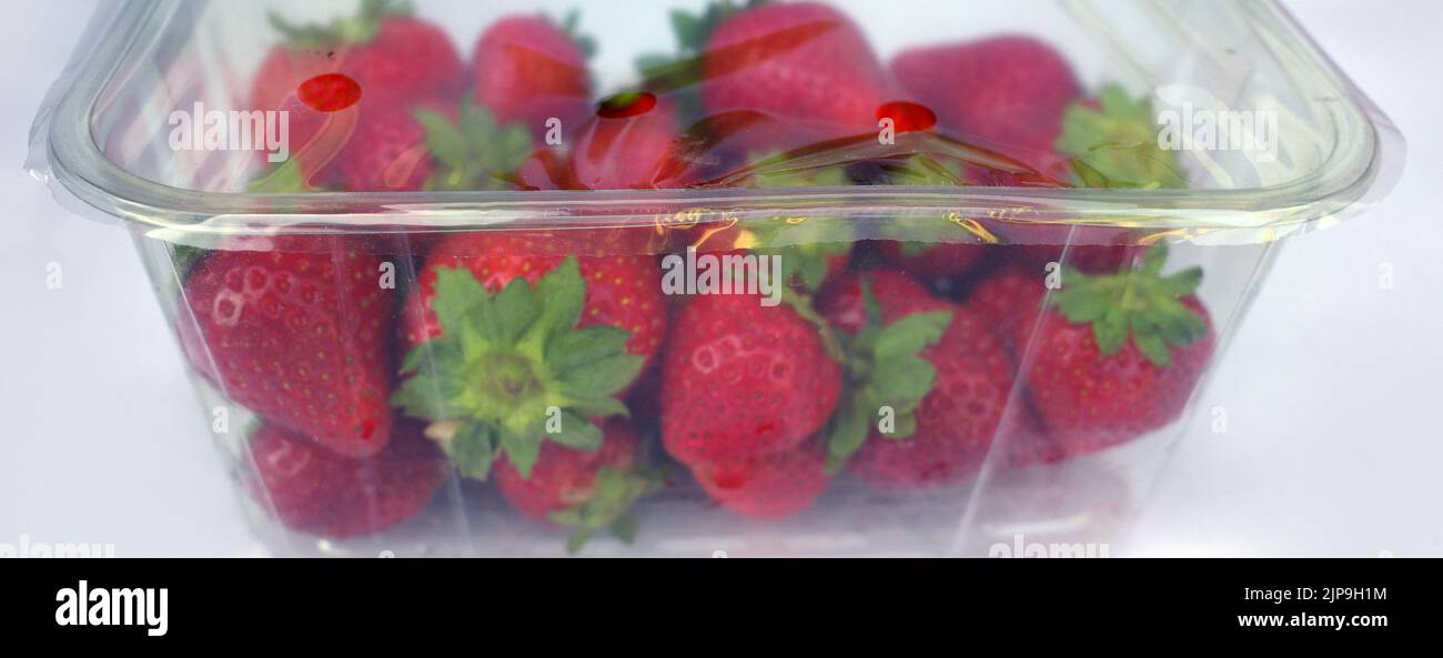 Strawberries in a sealed plastic box. Supermarket packaging. Too much plastic waste is produced. Stock Photo
