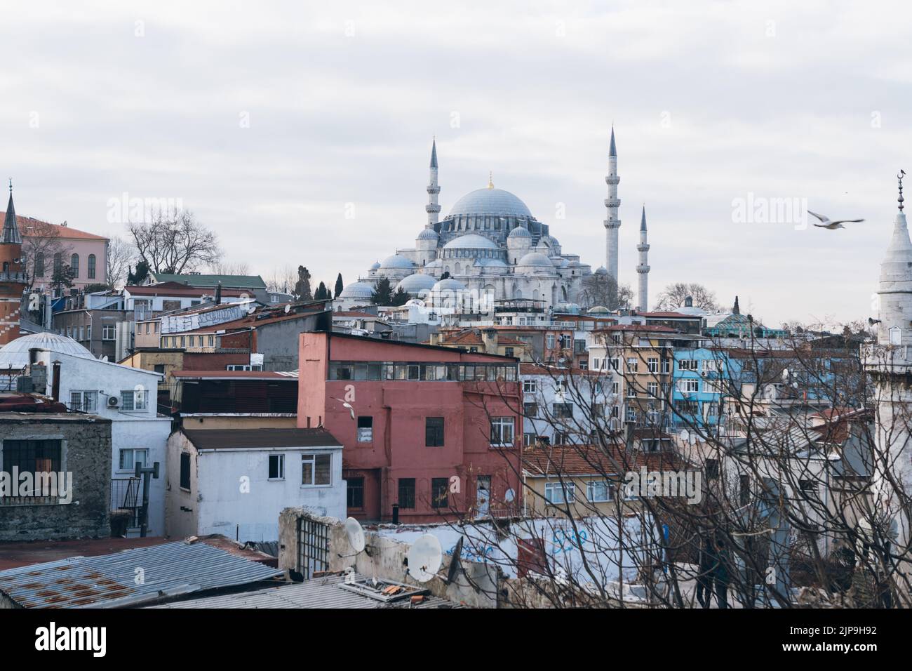 mosque, turkey, istanbul, mosques, turkeys, istanbuls Stock Photo