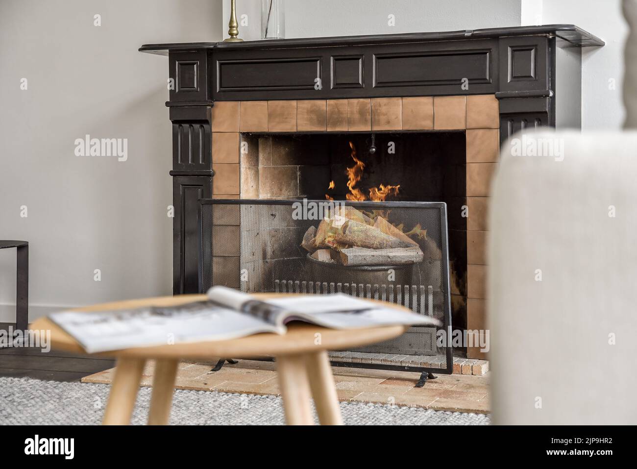 apartment, fire pit, fireplace, living room, apartments, fire pits