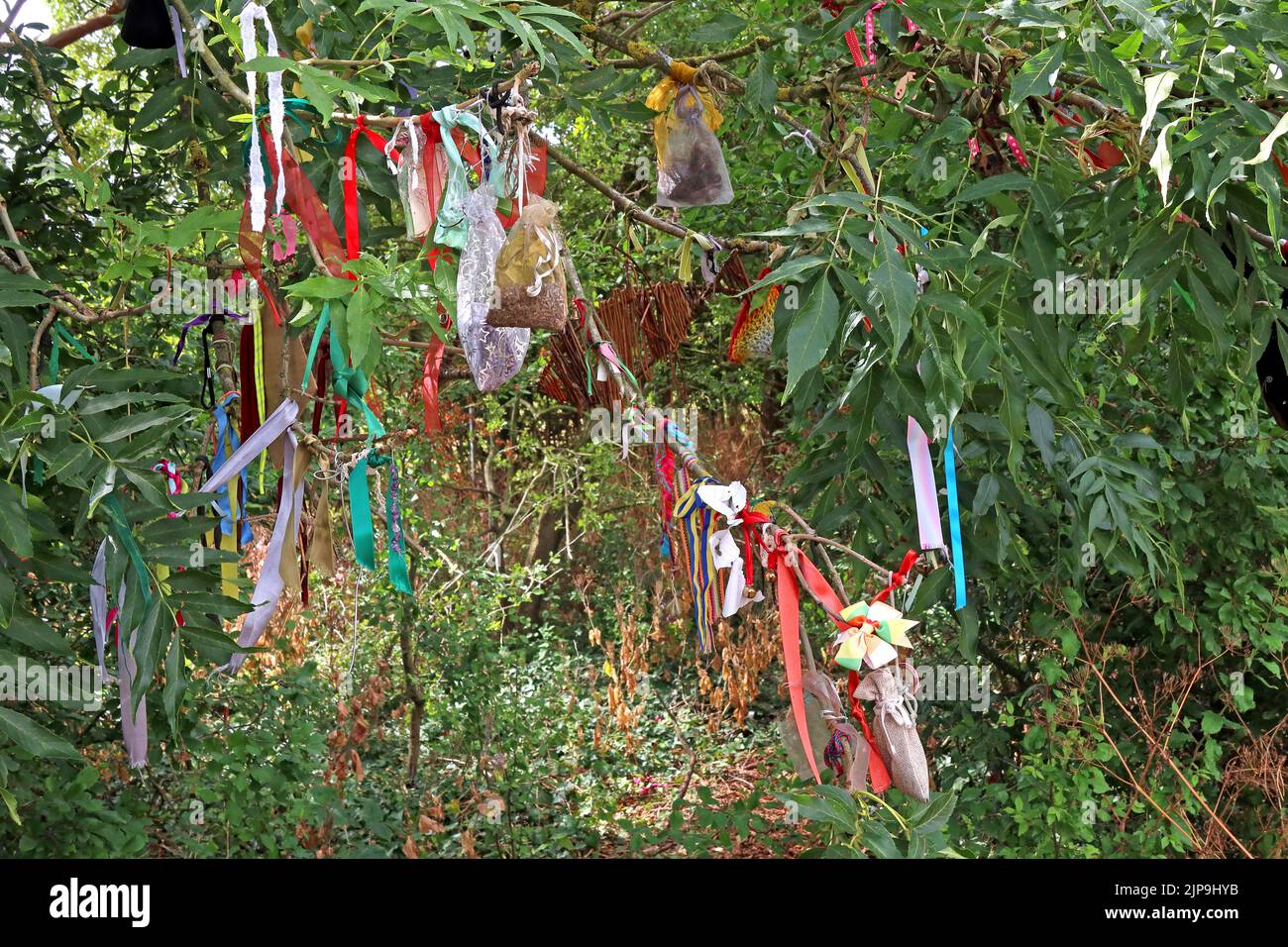 Ribbons tied to tree at Rollright stones, Little Compton, Warwickshire, England, UK,  OX7 5QB Stock Photo