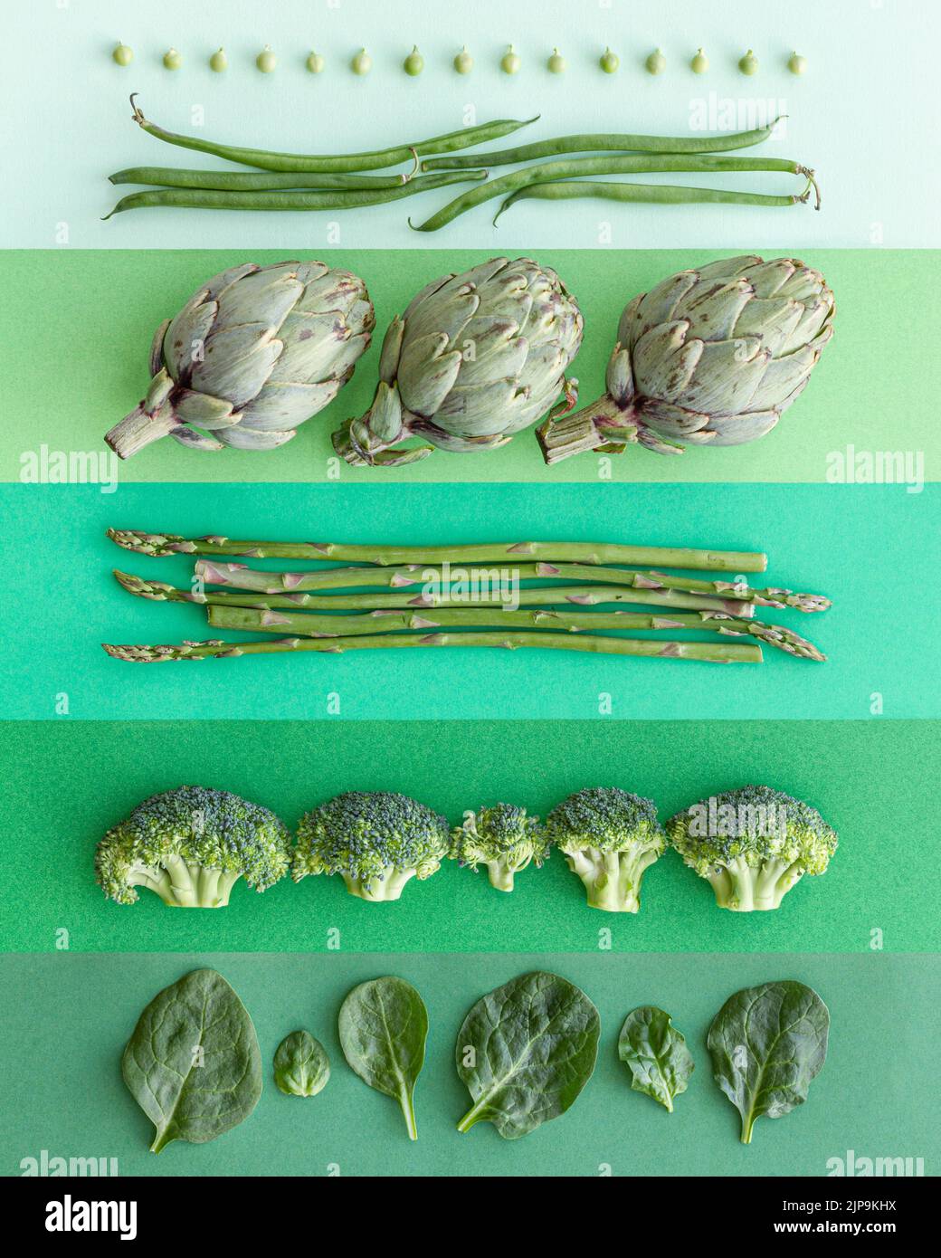 vegetable, sorted, ingredient, grünes gemüse, vegetables, sorteds, ingredients Stock Photo