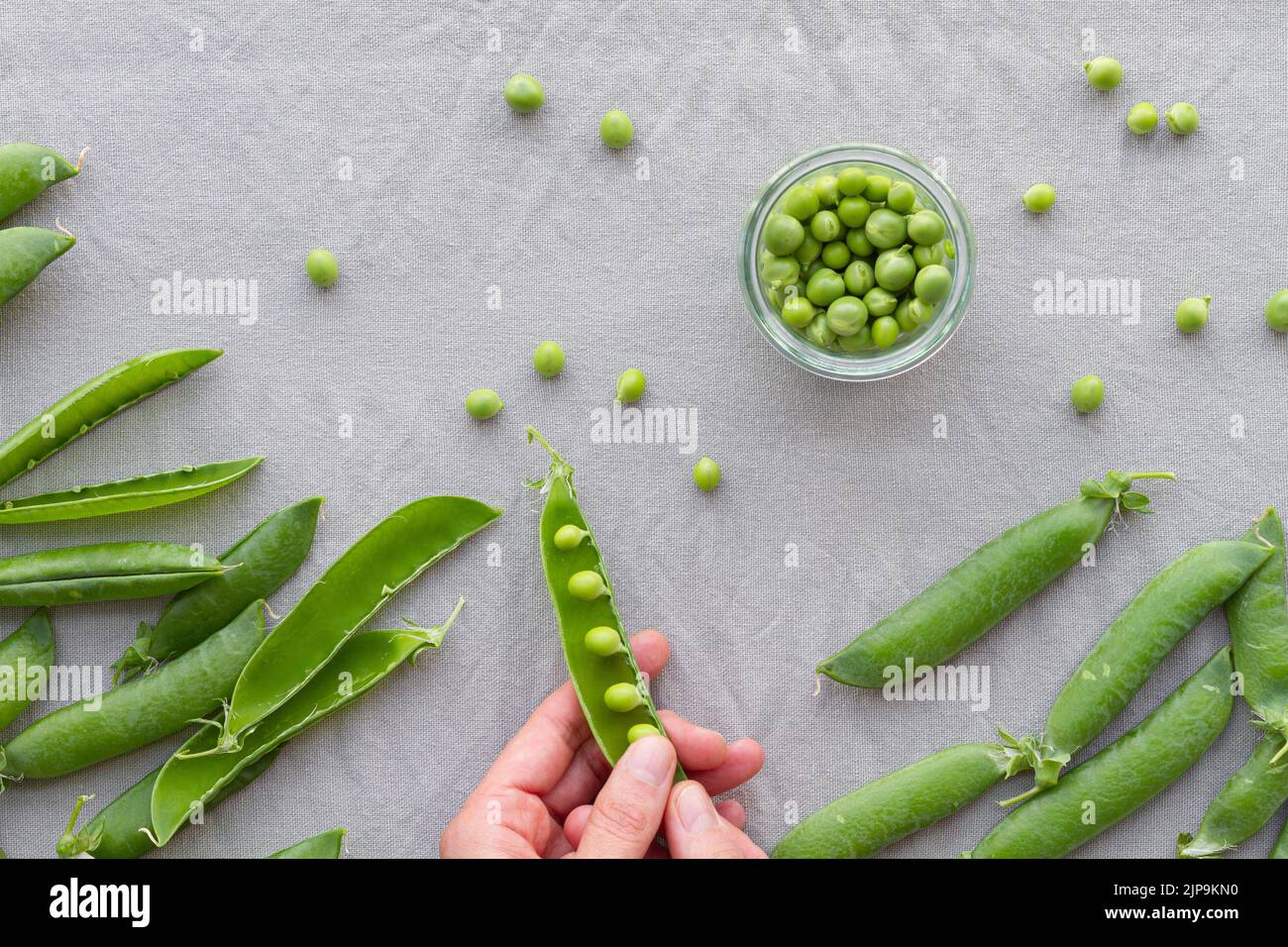 peeling, pea family, pea, harvest fresh, pea families, peas, harvest freshs Stock Photo