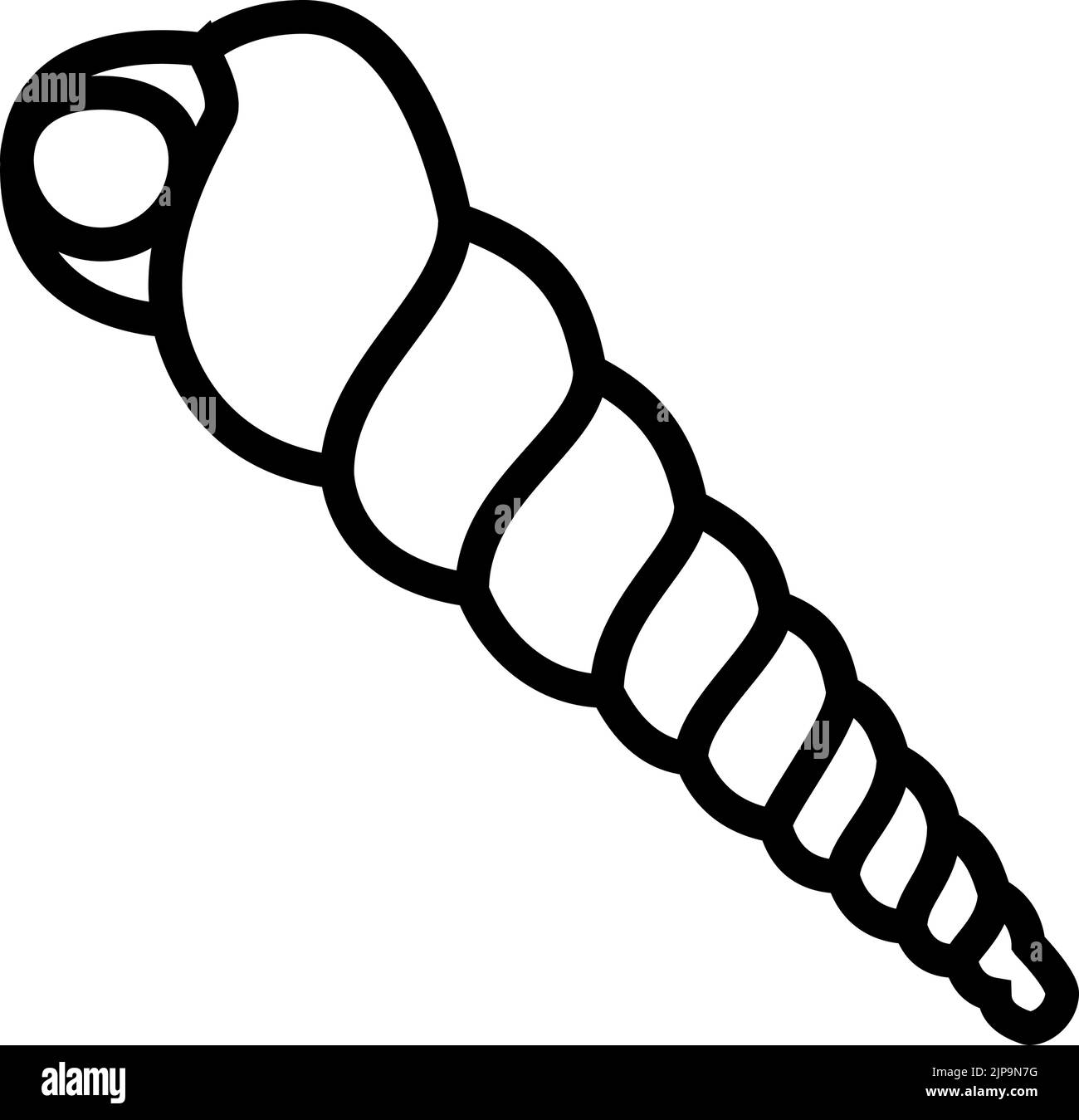 Turritella Black and White Stock Photos & Images - Alamy