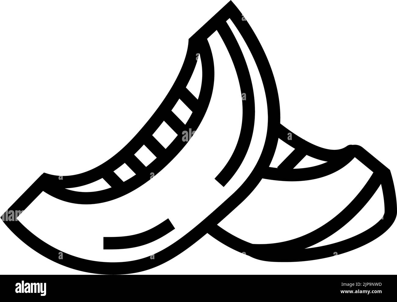 seed melon slice cantaloupe line icon vector illustration Stock Vector