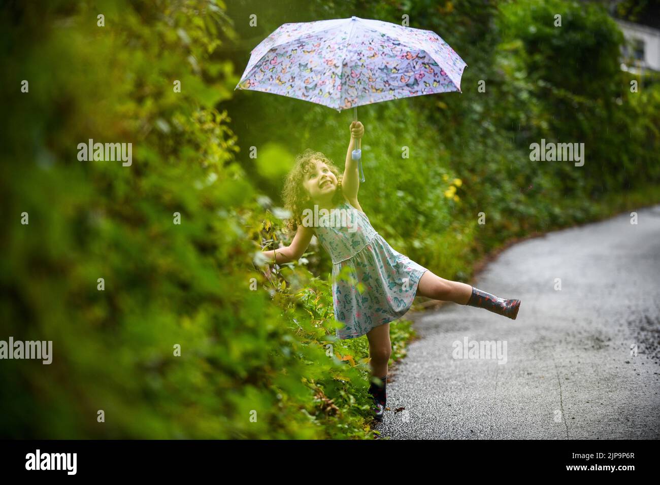 16th August 2022, Swansea, Wales. **PARENTAL CONSENT OBTAINED AND CLEARED FOR CHILD IN PIC**  Lillian Joy aged four from Swansea, enjoying the rain in a parched South Wales after soaring temperatures during the recent heatwave left large parts of the UK drought stricken. Stock Photo