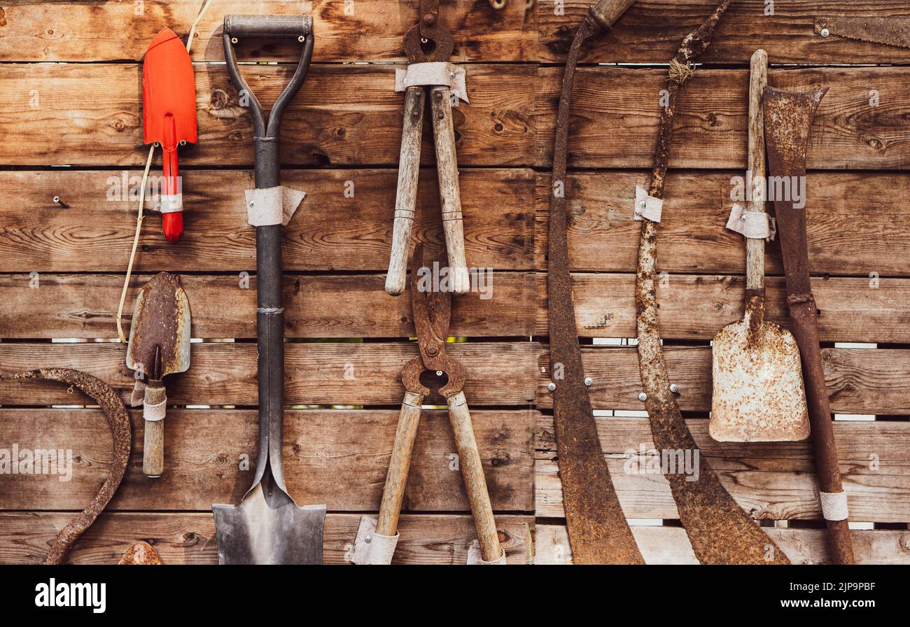 Many old garden equipment on wooden background Stock Photo