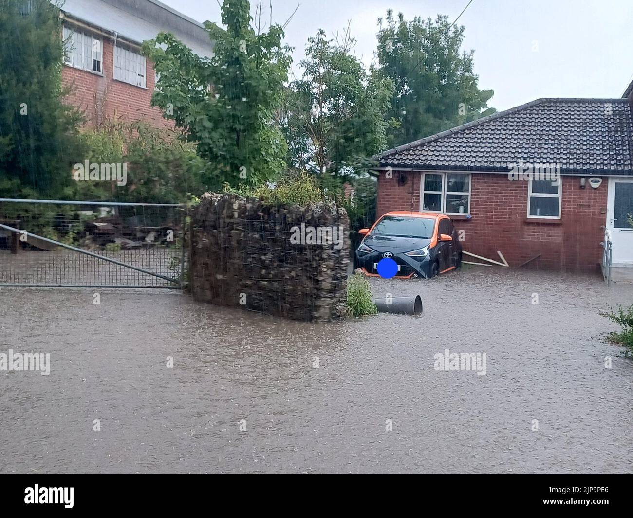 Handout photo taken with permission from the Twitter feed of