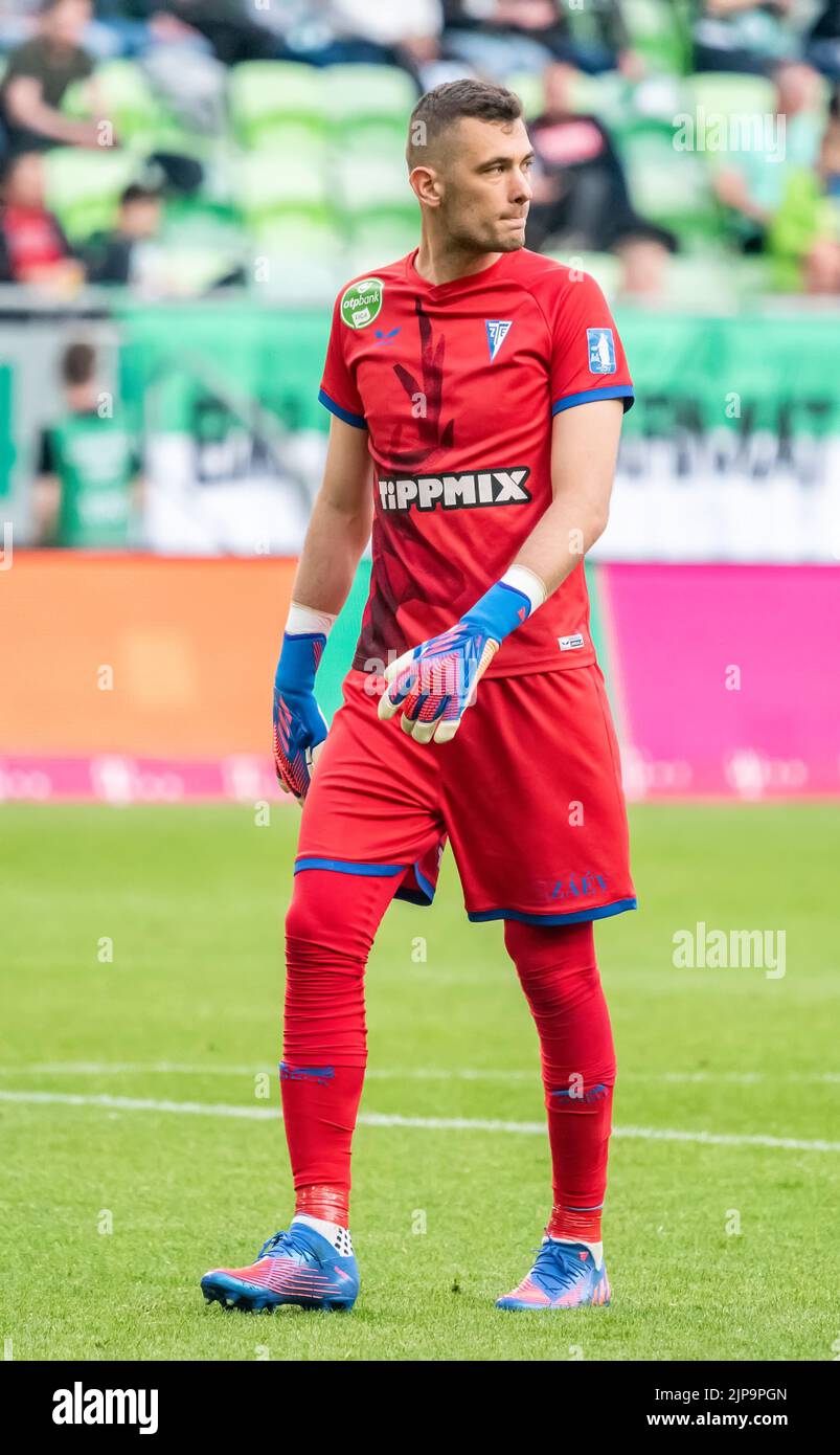 Player hungary hi-res stock photography and images - Alamy