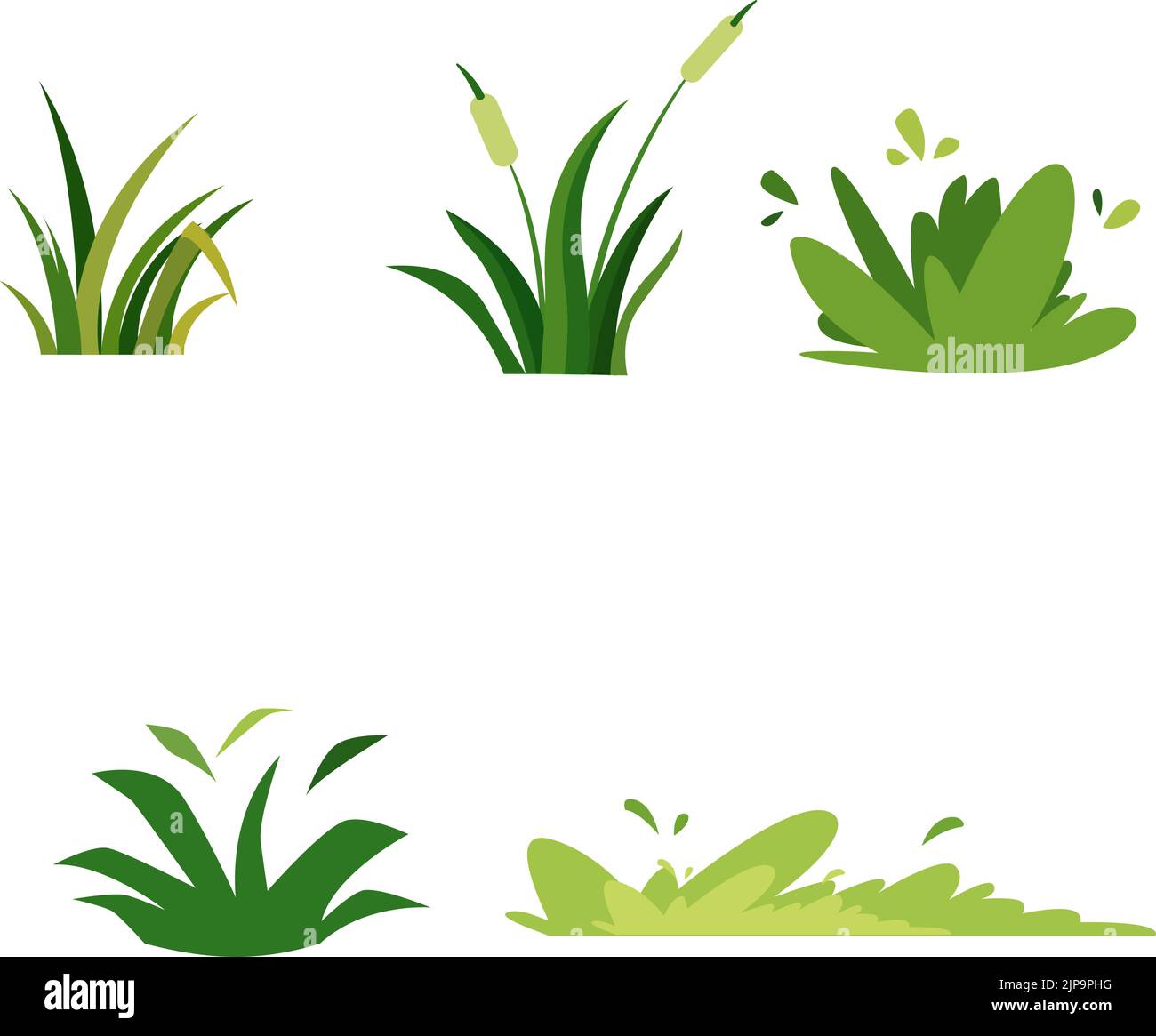 Different, beautiful types of plants on the white background Stock