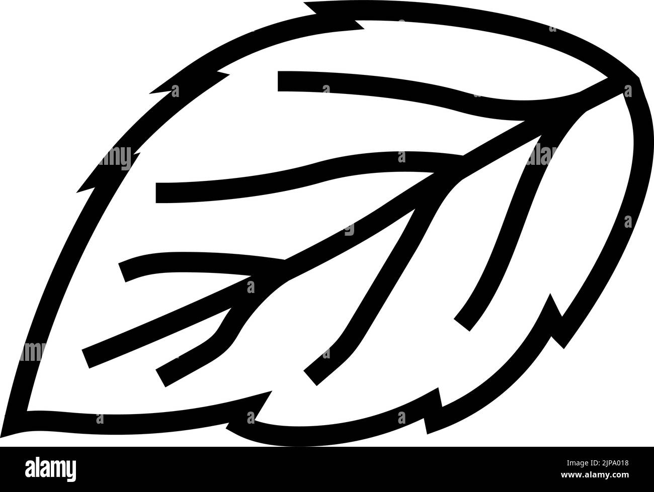 leaf raspberry green line icon vector illustration Stock Vector Image