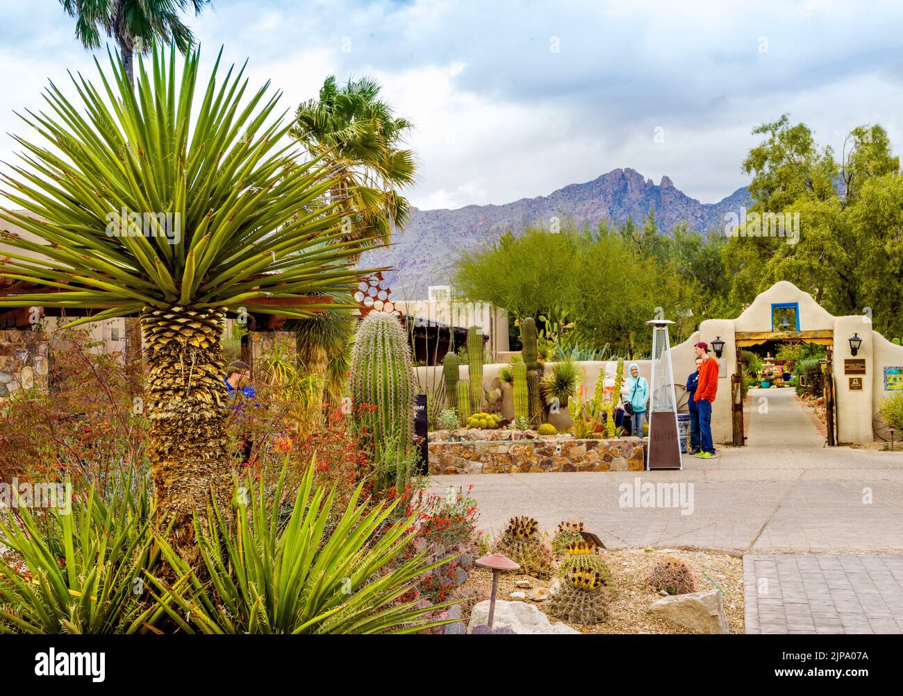 The cactus hotel hi-res stock photography and images - Alamy