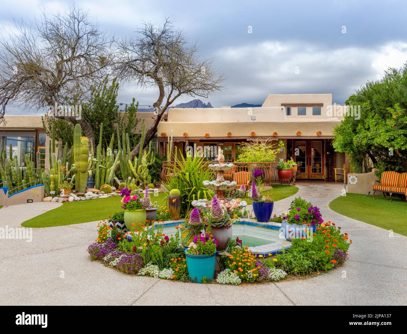 The cactus hotel hi-res stock photography and images - Alamy