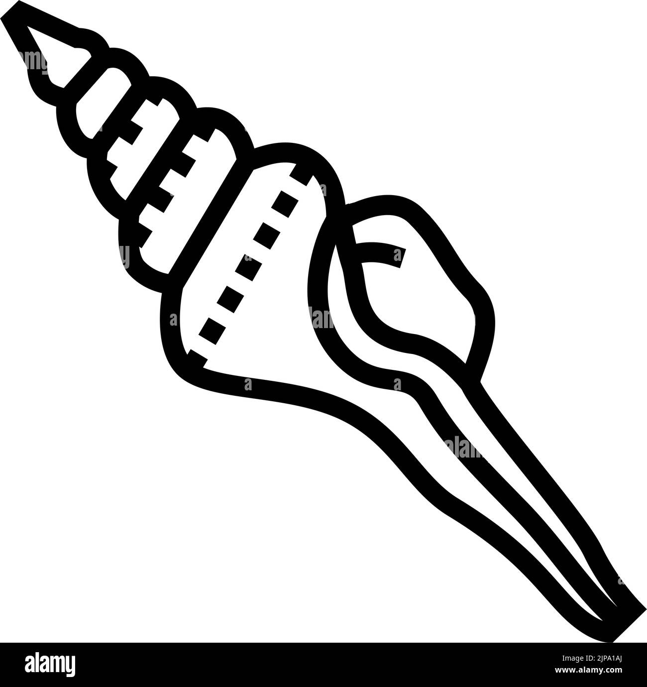 spindle sea shell beach line icon vector illustration Stock Vector ...