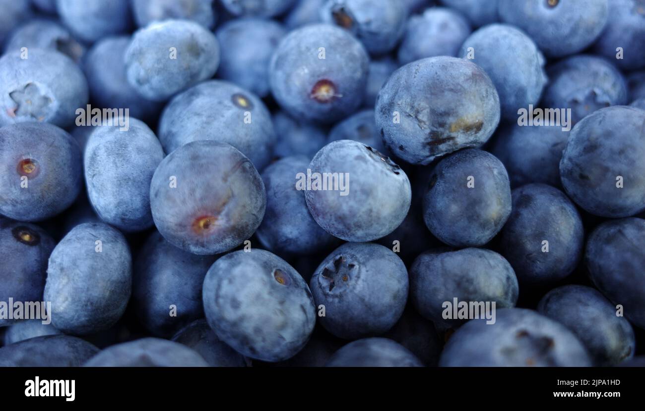 Juicy European blueberries on a heap. Healthy eating Stock Photo