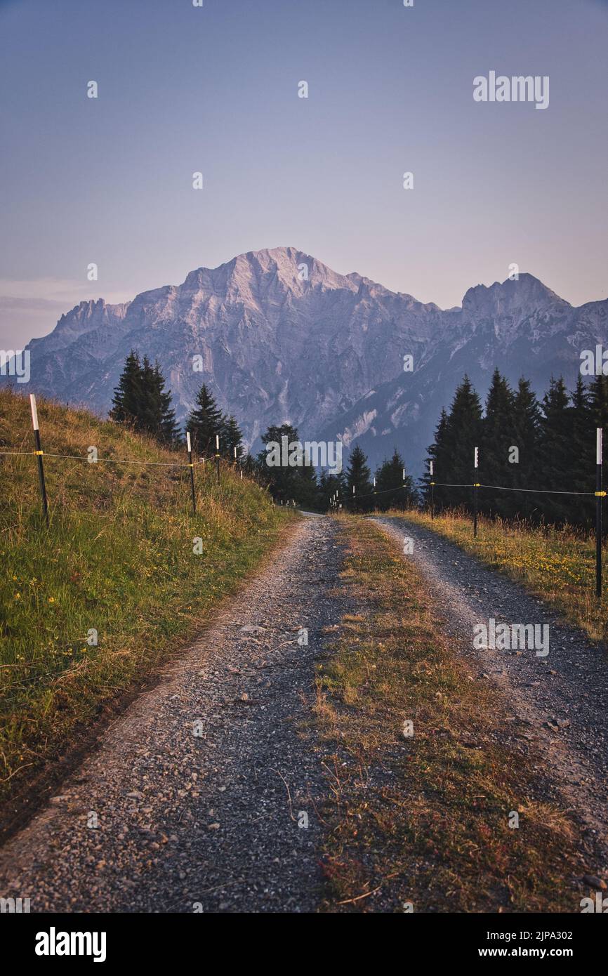 A pathway amidst trees into the woods Stock Photo - Alamy