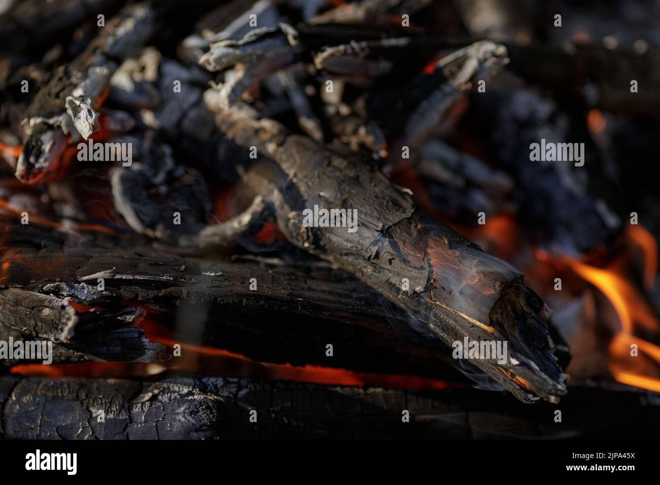 Close up of burning timber bonfire in summer forest. The concept of ...