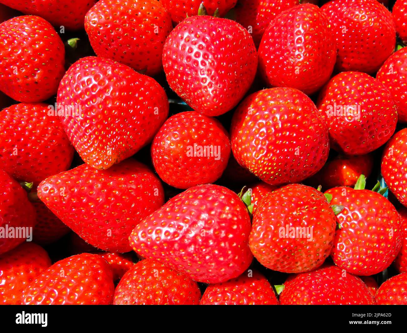 Close Up - Strawberries Stock Photo