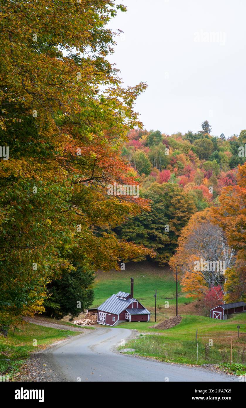 Autumn Maple sugar shack on a country road, Reading, Vermont USA US Vt