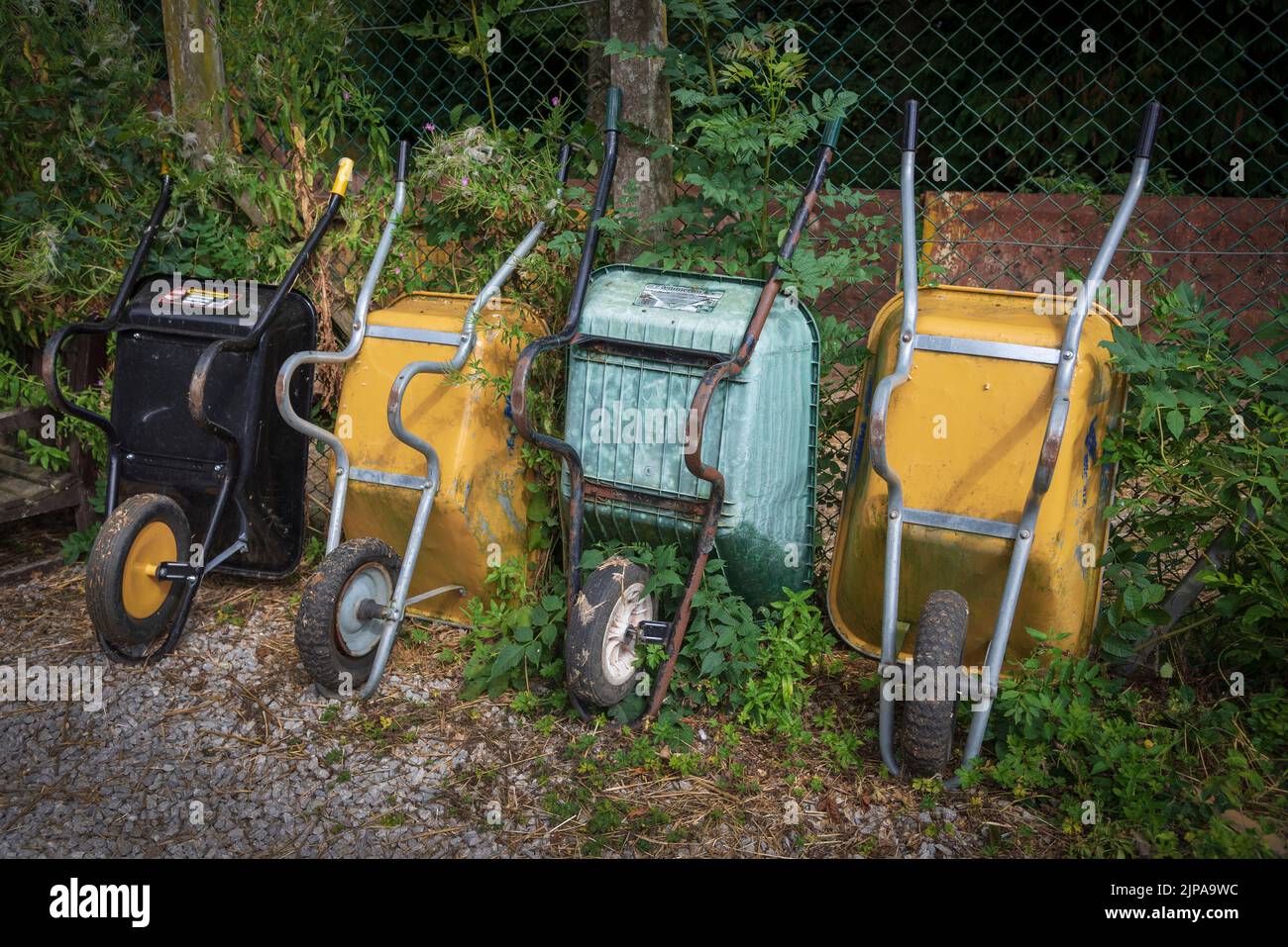 Four brightly coloured wheelbarrows leaning against against a fence. Stock Photo