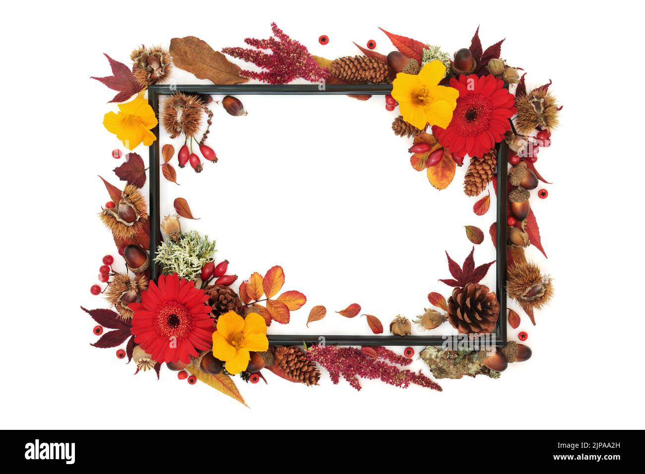 Symbols of Autumn season abstract background frame. Nature concept with leavers, flowers, nuts, berry fruit. Thanksgiving Fall composition with natura Stock Photo