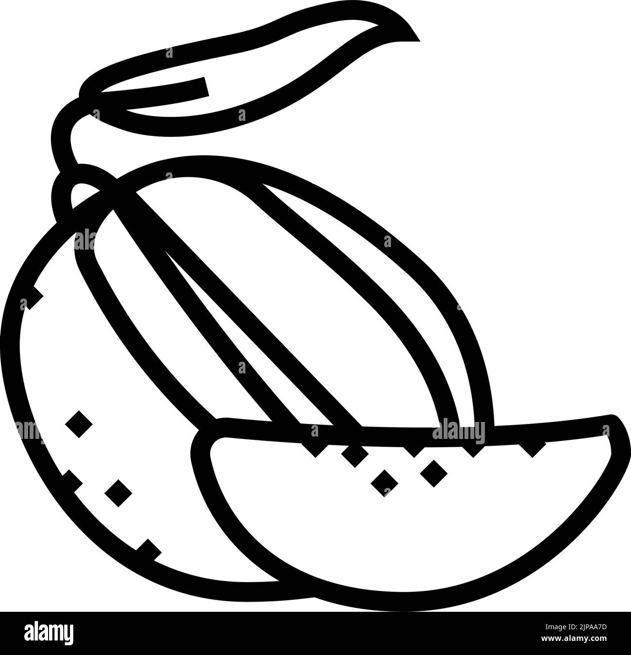 mango cut slice leaf line icon vector illustration Stock Vector Image