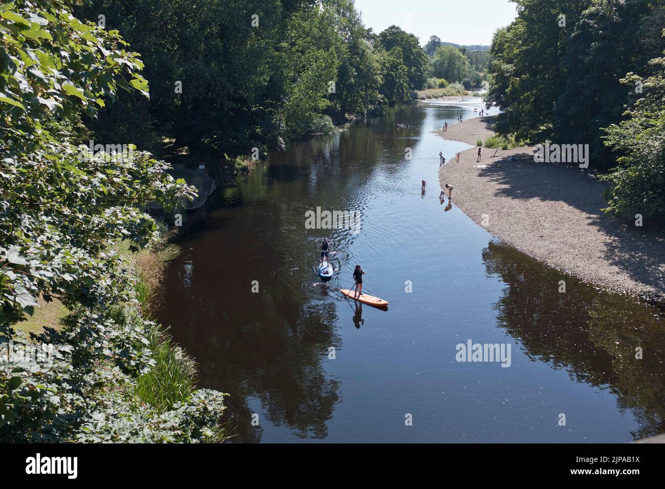 dh River Wharfe Beck Wood LINTON YORKSHIRE Couple paddling paddleboards canoeing family children rivers beach paddle boarding uk summer bathing Stock Photo