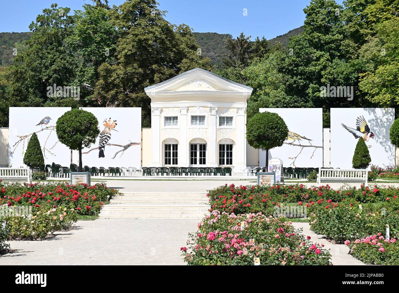Baden, Lower Austria, Austria. 15. August 2022. The largest outdoor photo festival in Europe in 'Baden near Vienna'. The rose garden in Baden Stock Photo