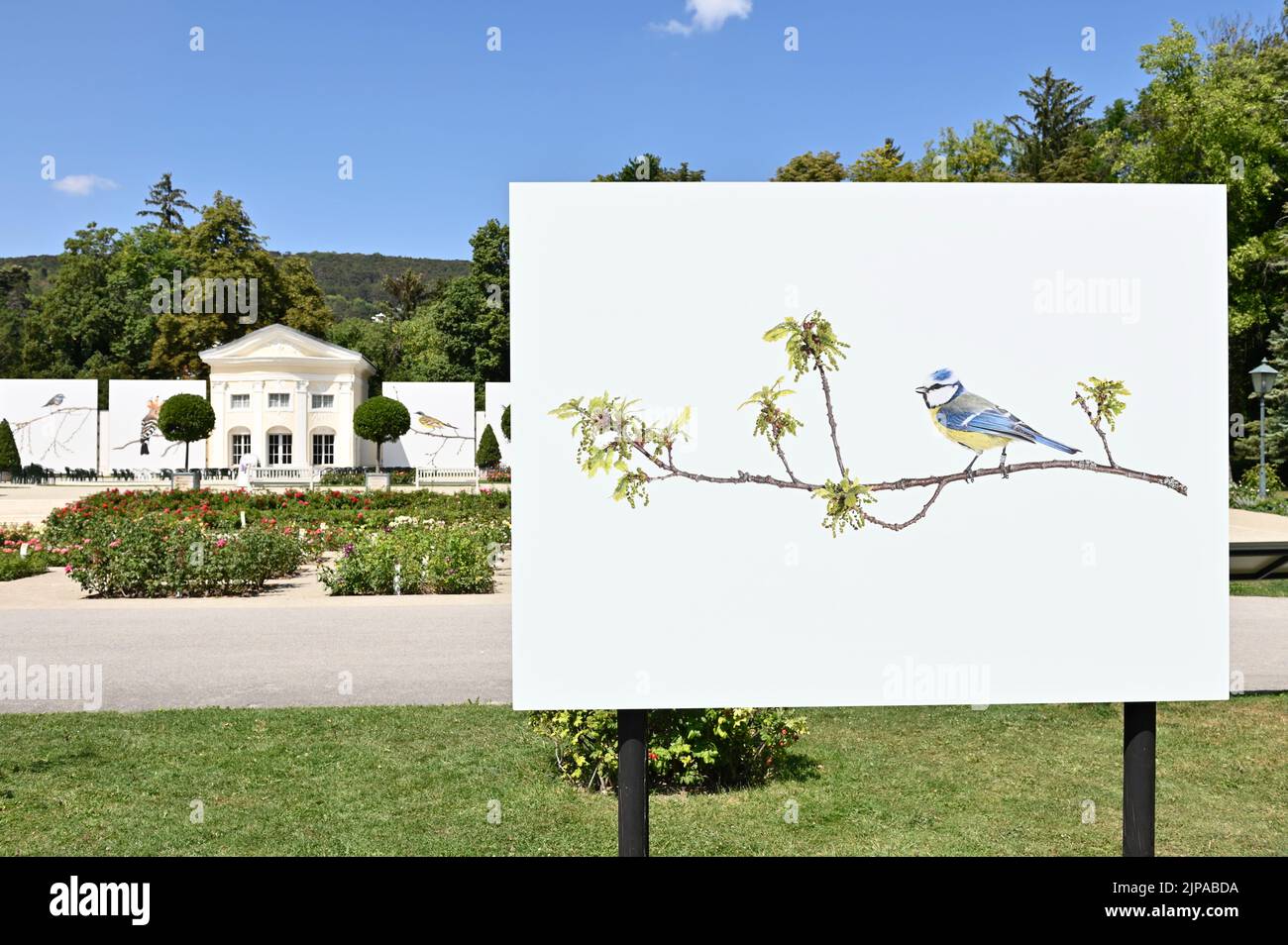 Baden, Lower Austria, Austria. 15. August 2022. The largest outdoor photo festival in Europe in 'Baden near Vienna'. The rose garden in Baden Stock Photo