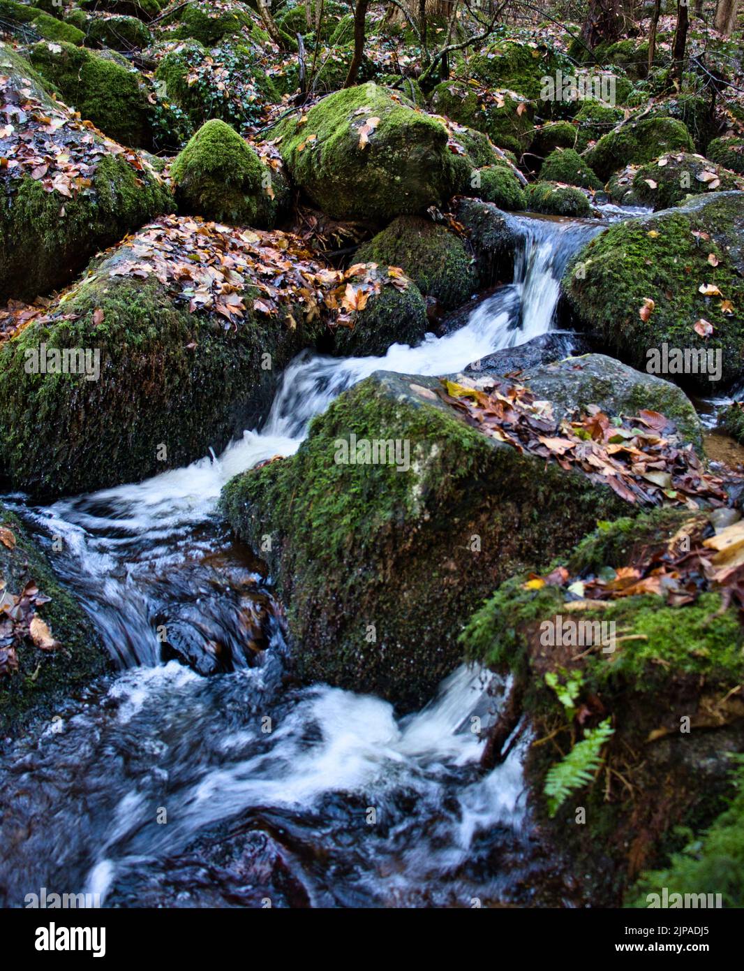 Water flowing through mossy rocks next to a walking path on a fall day ...
