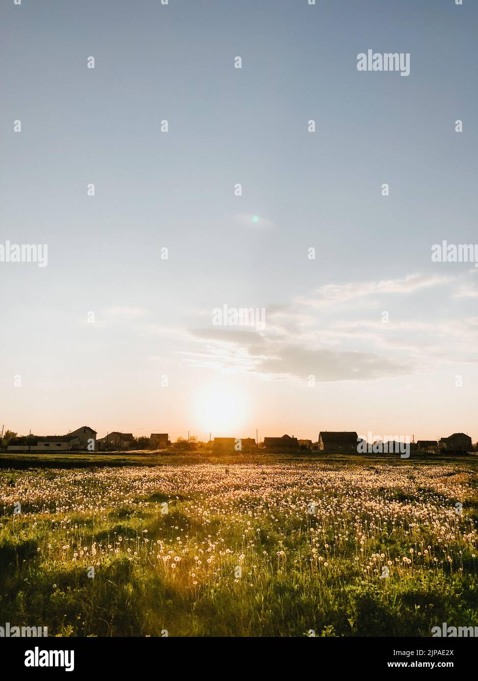 Sunset nature horizon meadow outdoors clouds summer background. Sun shining to dandelions at evening. calm relax atmosphere. Sunset or sunrise on rye Stock Photo