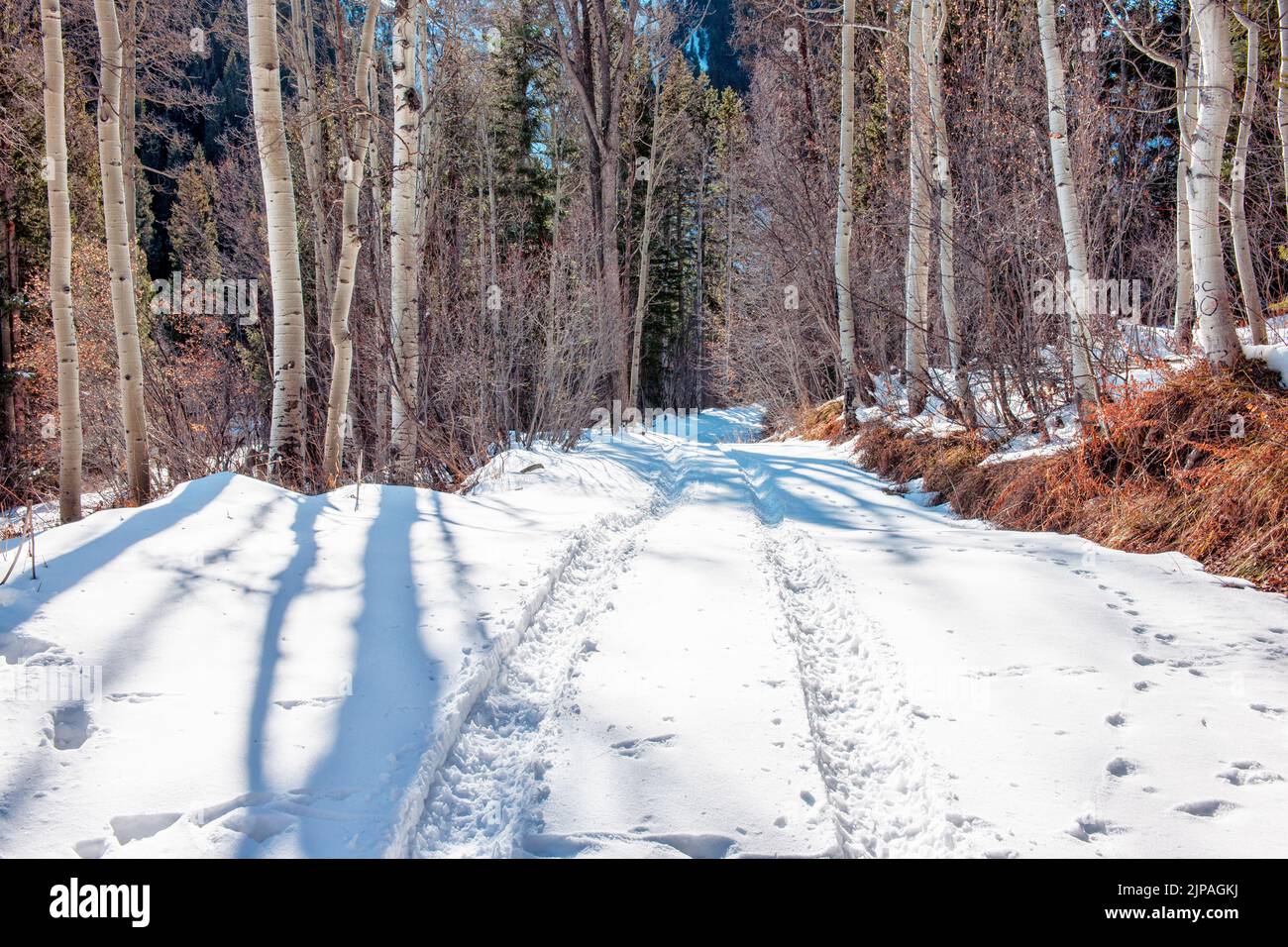 Aspen,Colorado,USA Stock Photo