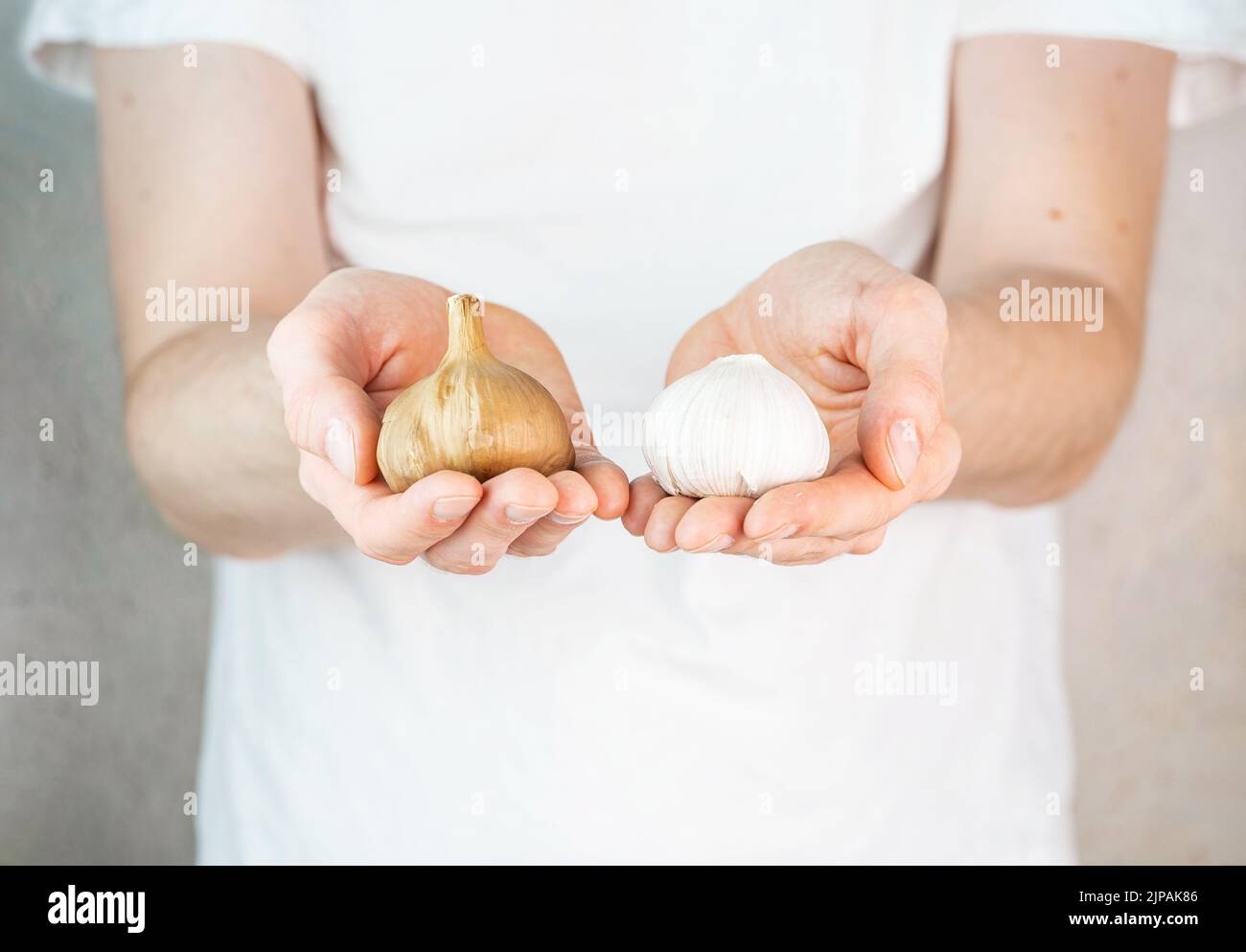 Garlic and fermented garlic in man's hands. A man in a white t-shirt on a grey background holds garlic and black garlic bulbs in his hands. Fermented Stock Photo