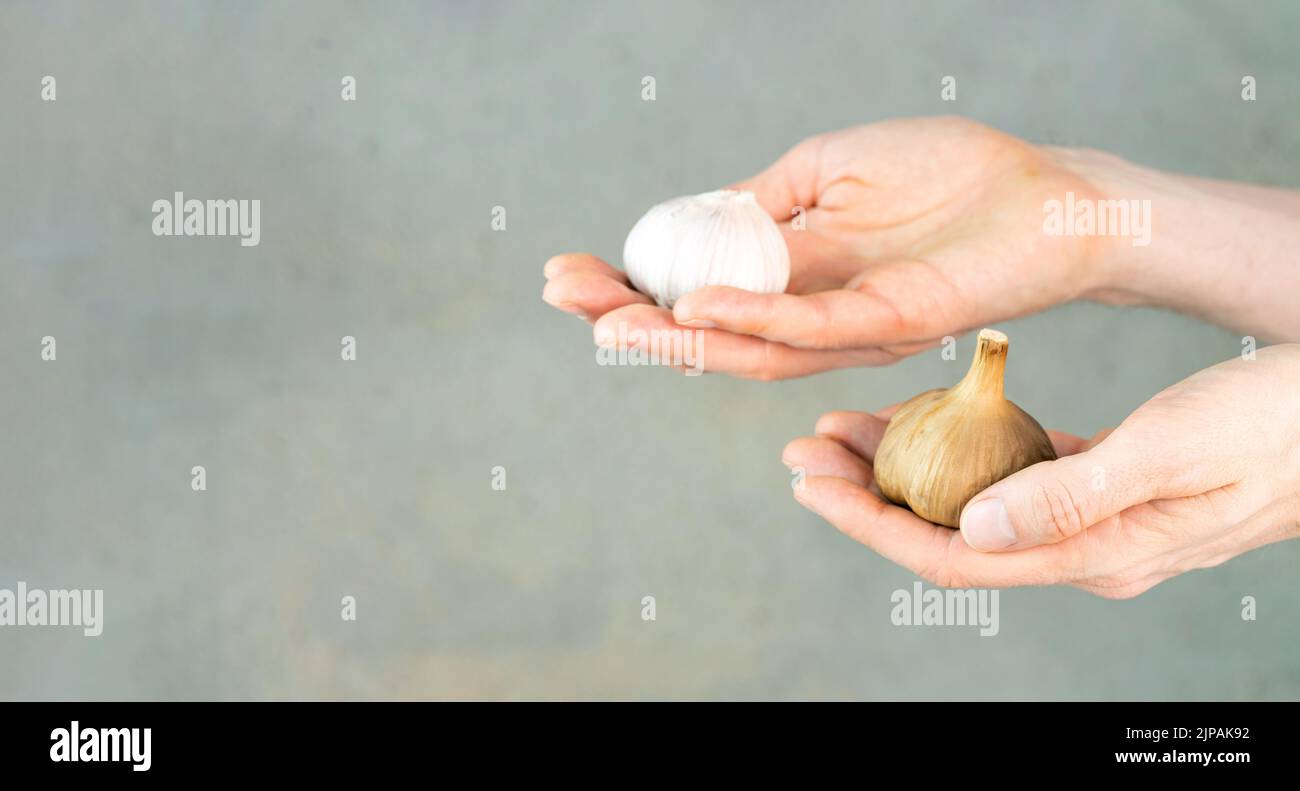 Hands with white and black garlic bulbs. Garlic and fermented garlic in the hands on a gray green background. Fermented food, healthy nutrition Stock Photo