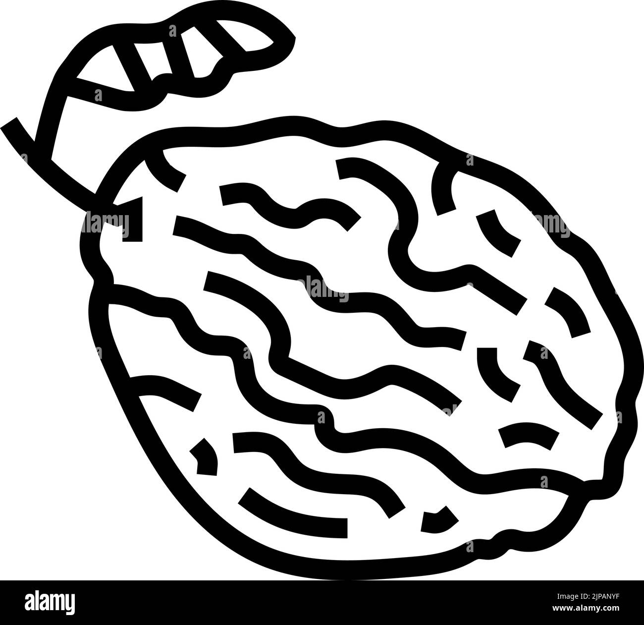 prune plum dry line icon vector illustration Stock Vector Image & Art