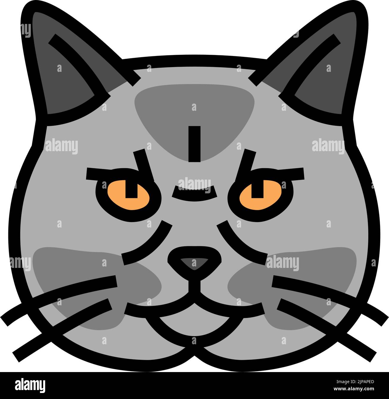 british shorthair cat cute pet color icon vector illustration Stock