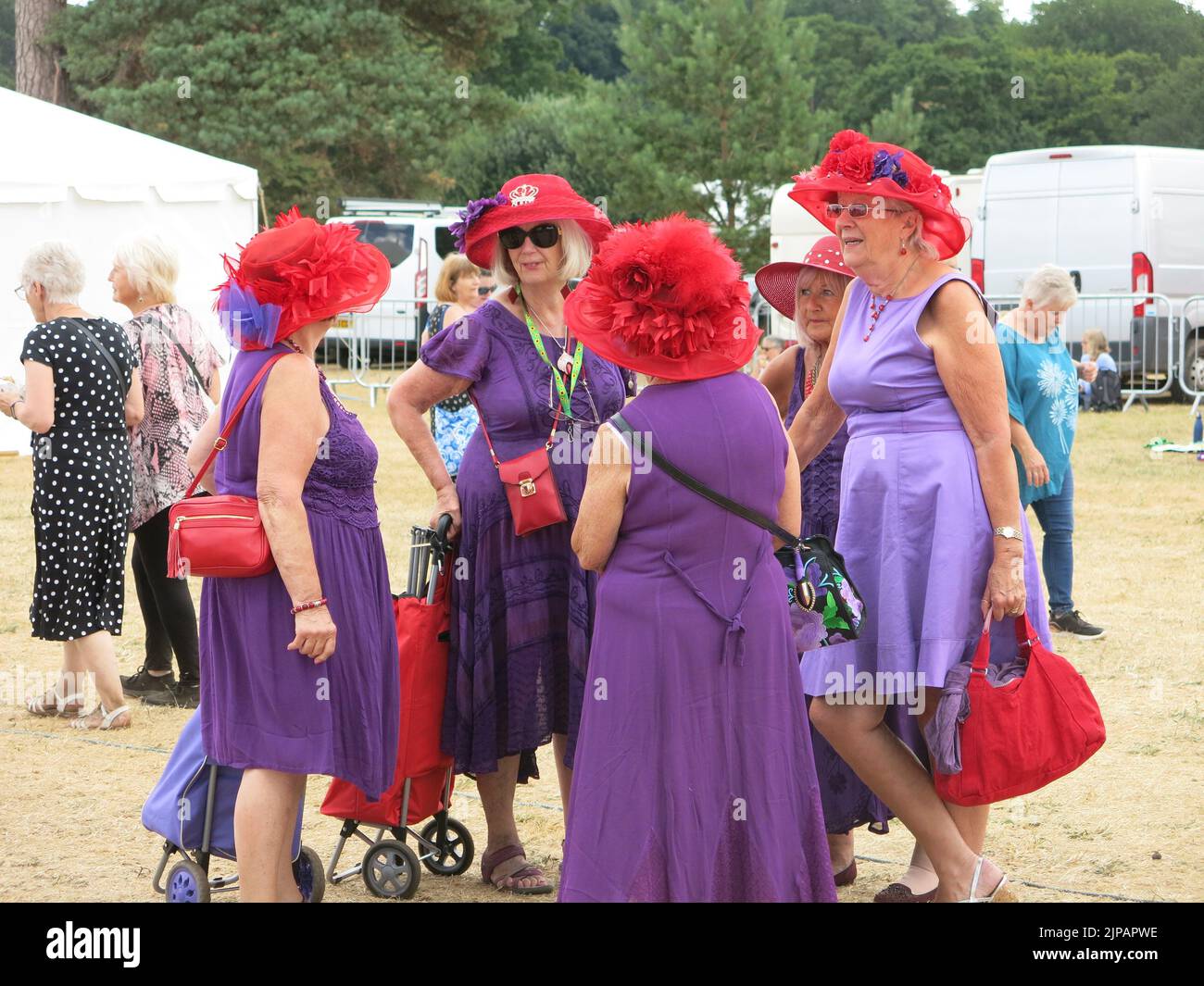 Members of the Diss Red Hatters wore purple outfits with red hats for their outing to the Sandringham Flower Show in July 2022. Stock Photo