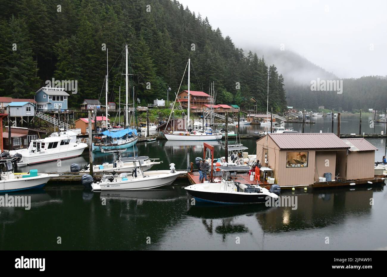 Elfin Cove, Alaska, USA. 1st Aug, 2022. The picturesque resort and fishing village of Elfin Cove in the in Hoonah-Angoon Census Area on Chichagof Island, Alaska, 85 miles west of Juneau, had a year-round population of 24 in the 2020 census. It is shown the evening of Monday August 1, 2022. The population rises during the summer tourist season. (Credit Image: © Mark Hertzberg/ZUMA Press Wire) Stock Photo