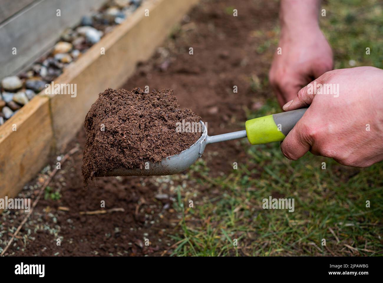Close up of male gardener's hands holding scoop trowel full of soil