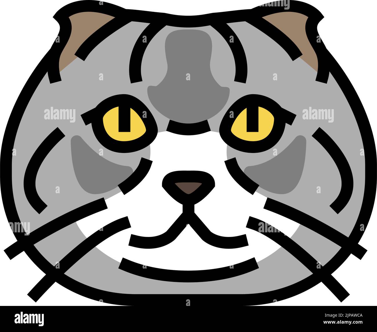 scottish fold cat cute pet color icon vector illustration Stock Vector ...