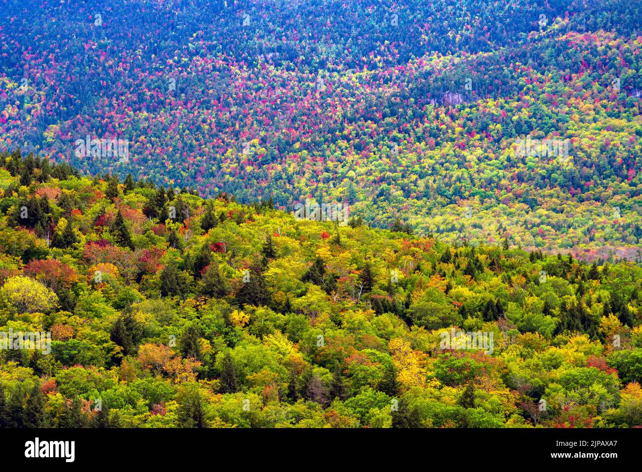 The sides of a mountain are covered with trees in various stages of changing colors during autumn in New Hampshire. Stock Photo