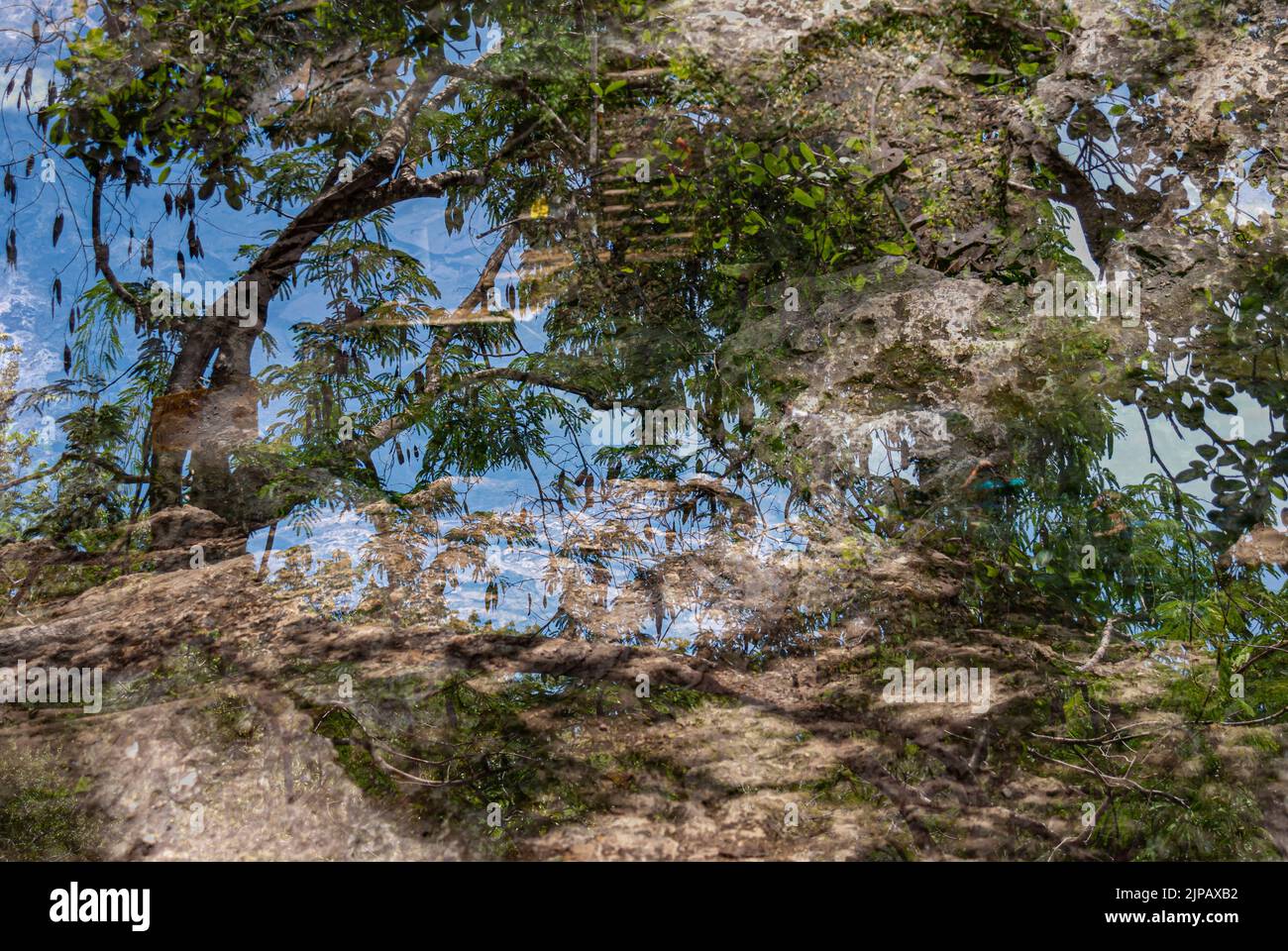 Double exposure of the textures of Quintana Roo, Mexico. Stock Photo