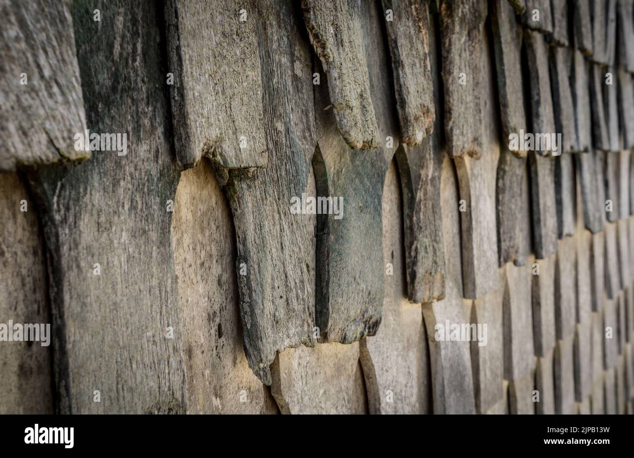 detail of a old wooden wall Stock Photo