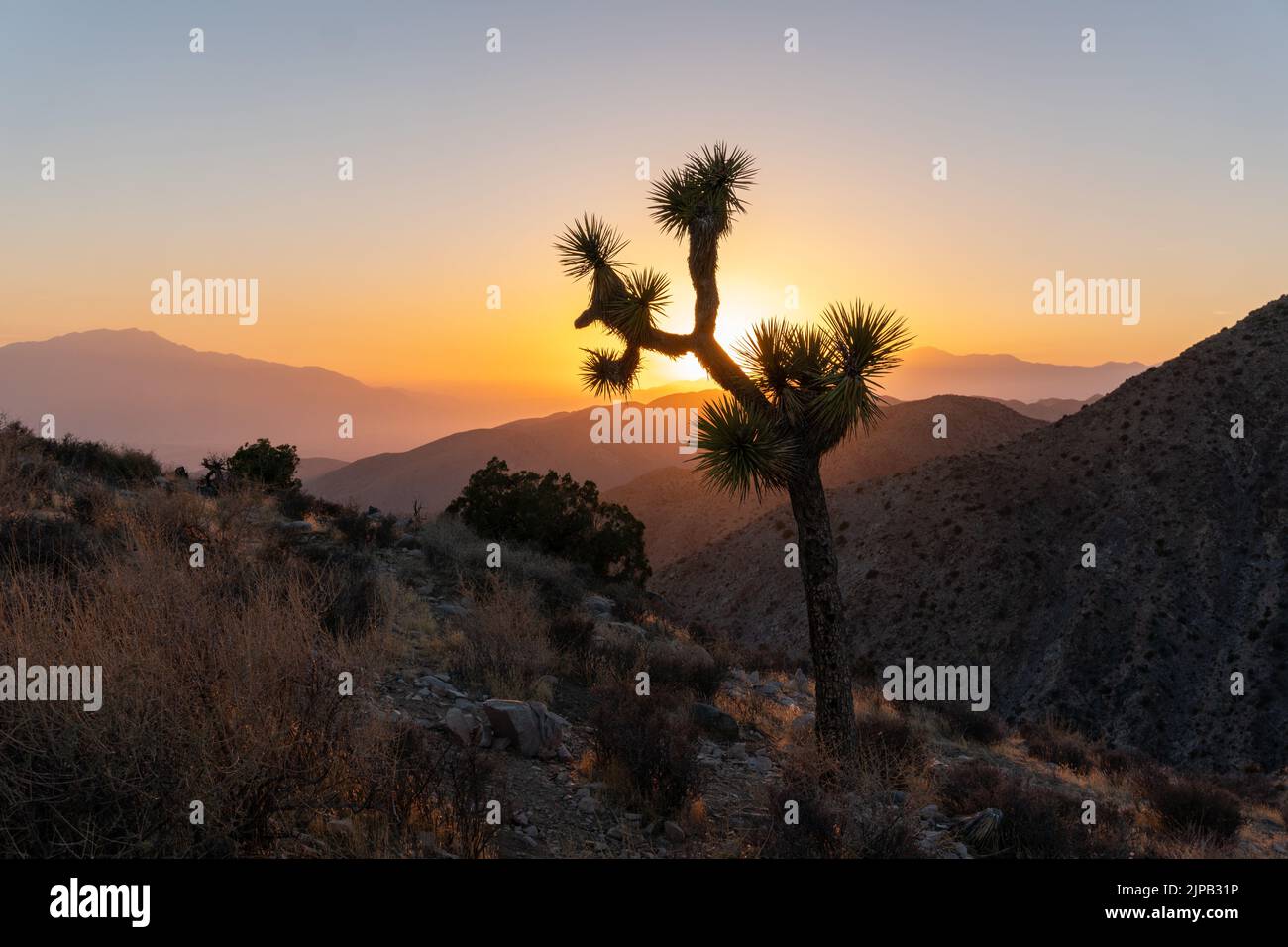 Peaceful tree setting hi-res stock photography and images - Alamy