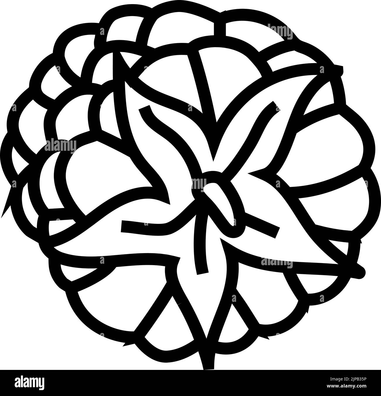 raspberry ripe delicious fruit line icon vector illustration Stock ...