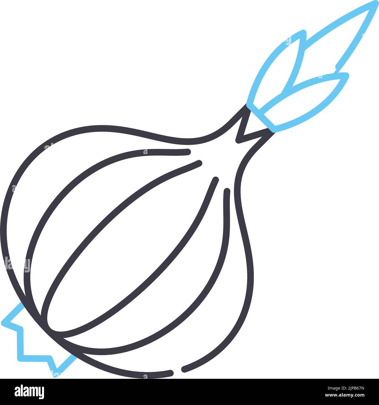 onion line icon, outline symbol, vector illustration, concept sign Stock Vector