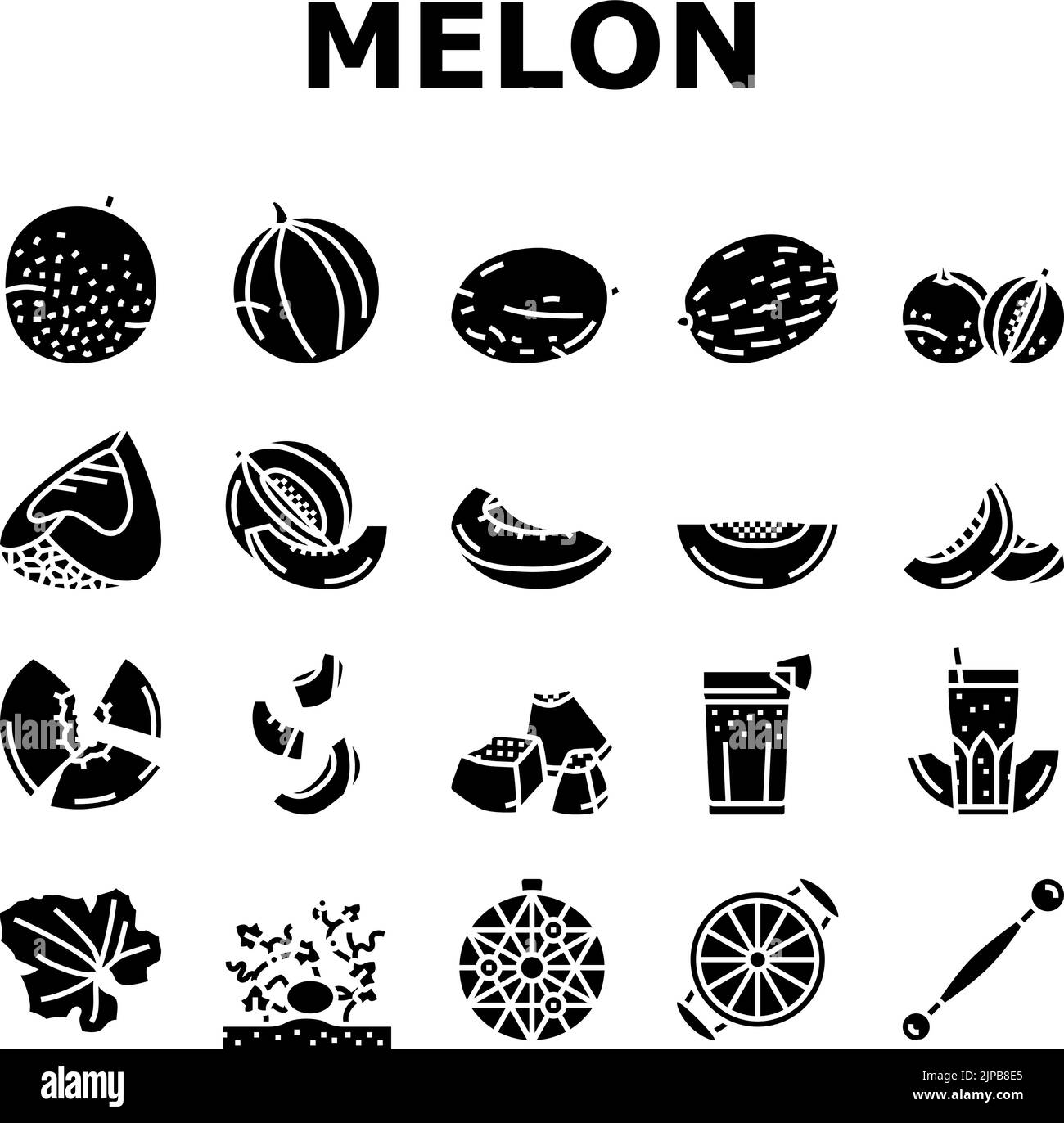 melon cantaloupe yellow fruit icons set vector Stock Vector Image & Art