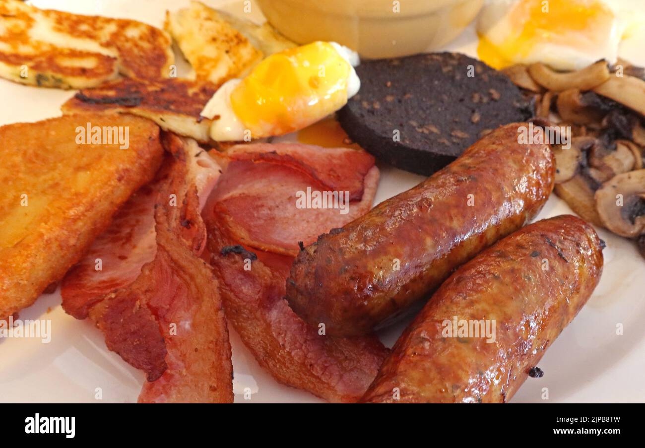 Full cooked British breakfast, including pork sausages with nitrites, cured bacon, egg, black pudding, mushrooms, Halloumi Stock Photo