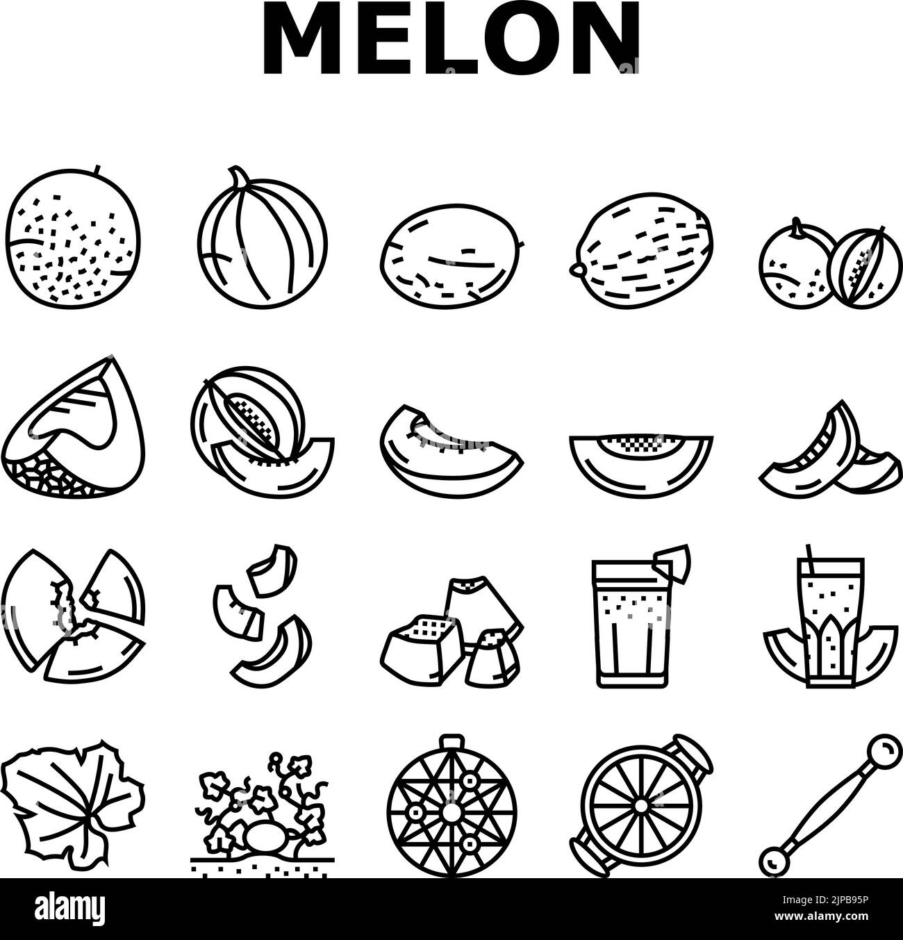 melon cantaloupe yellow fruit icons set vector Stock Vector Image & Art