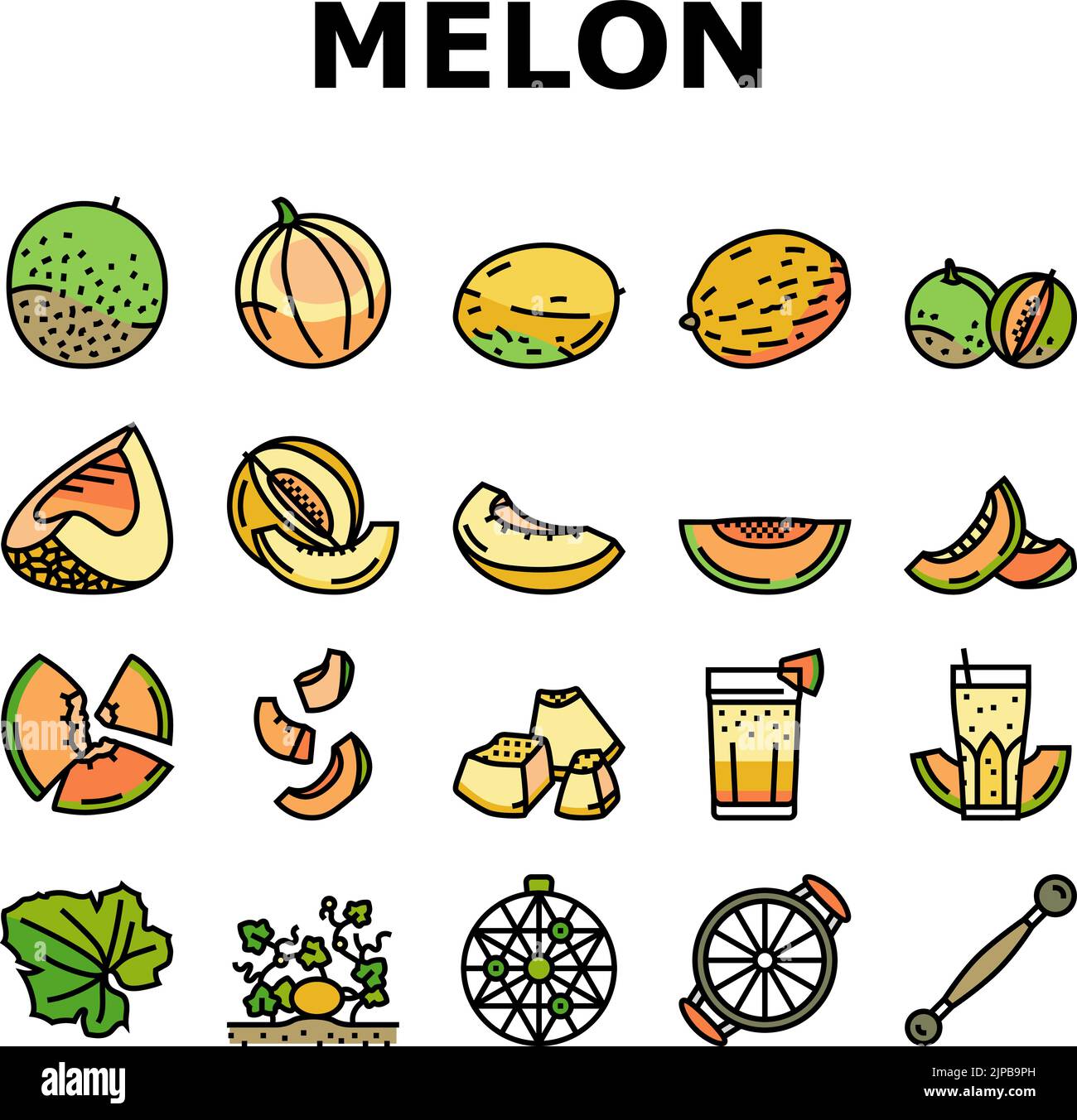 Yubari cantaloupe Stock Vector Images - Alamy