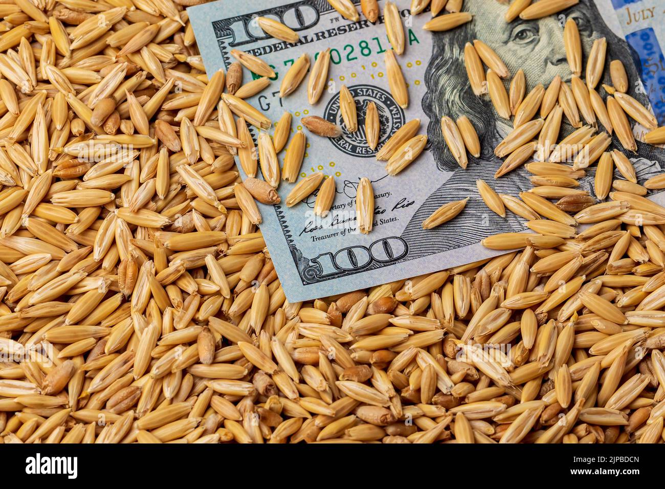 Oat seed and 100 dollar bill. Oats farming, trade and market price concept Stock Photo